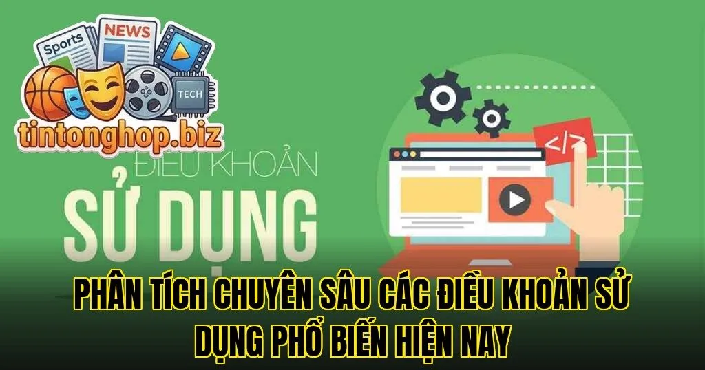 Phân tích chuyên sâu các điều khoản sử dụng phổ biến hiện nay