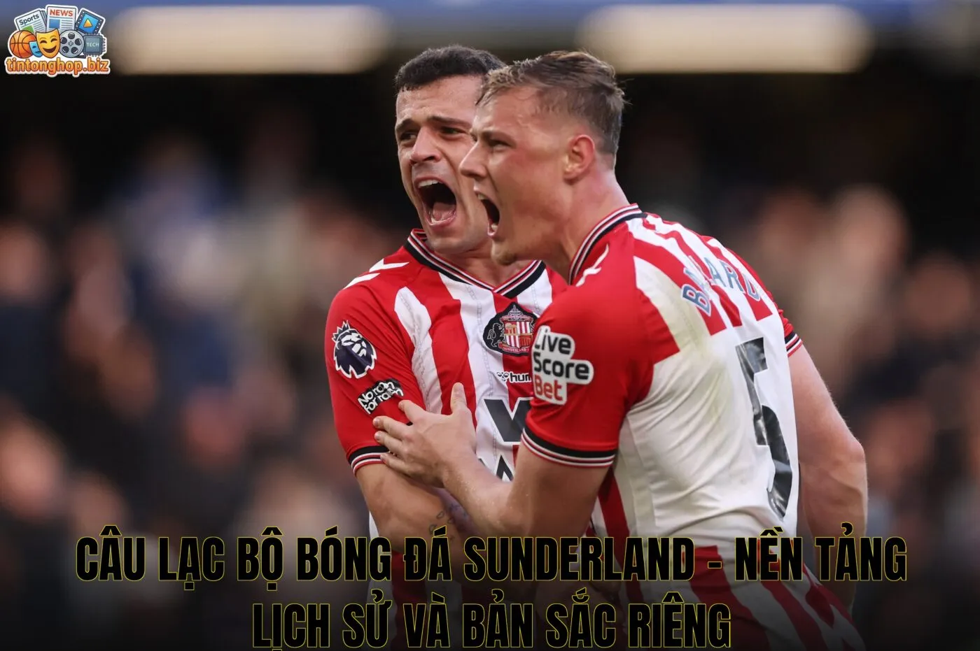 Câu lạc bộ bóng đá Sunderland – nền tảng lịch sử và bản sắc riêng