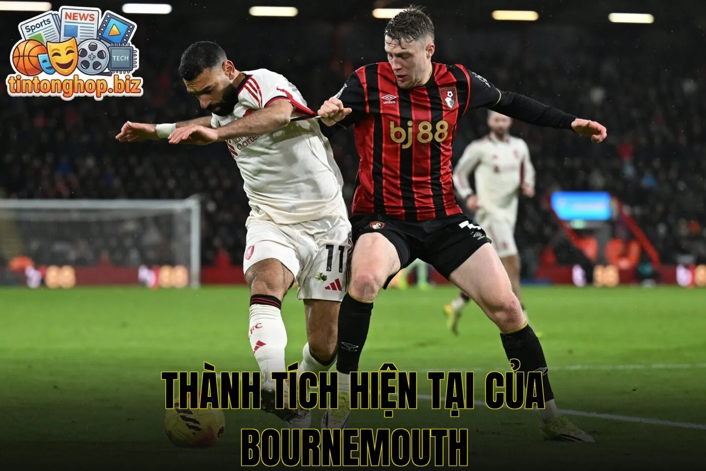 Thành tích hiện tại của Bournemouth