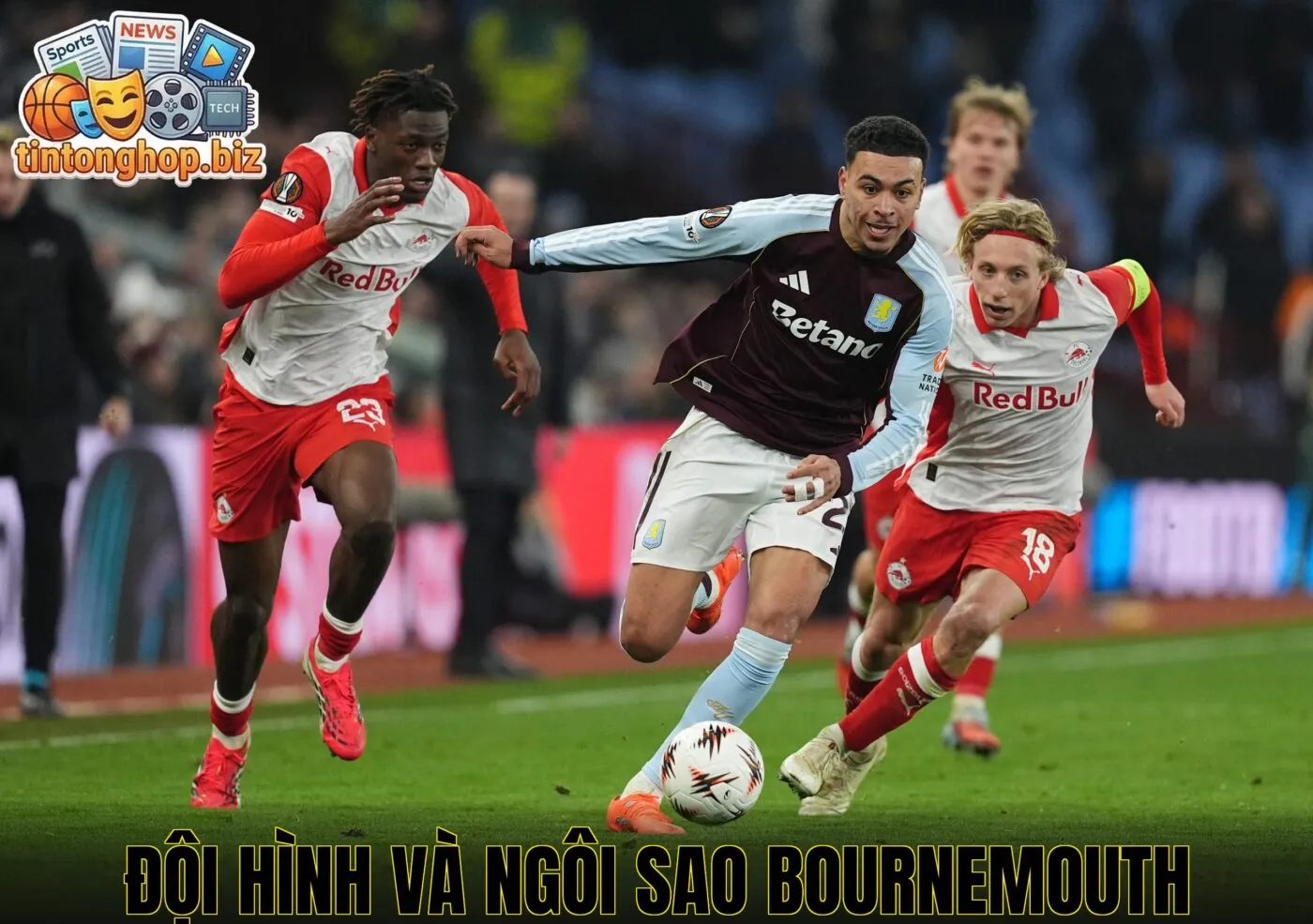 Đội hình và ngôi sao Bournemouth