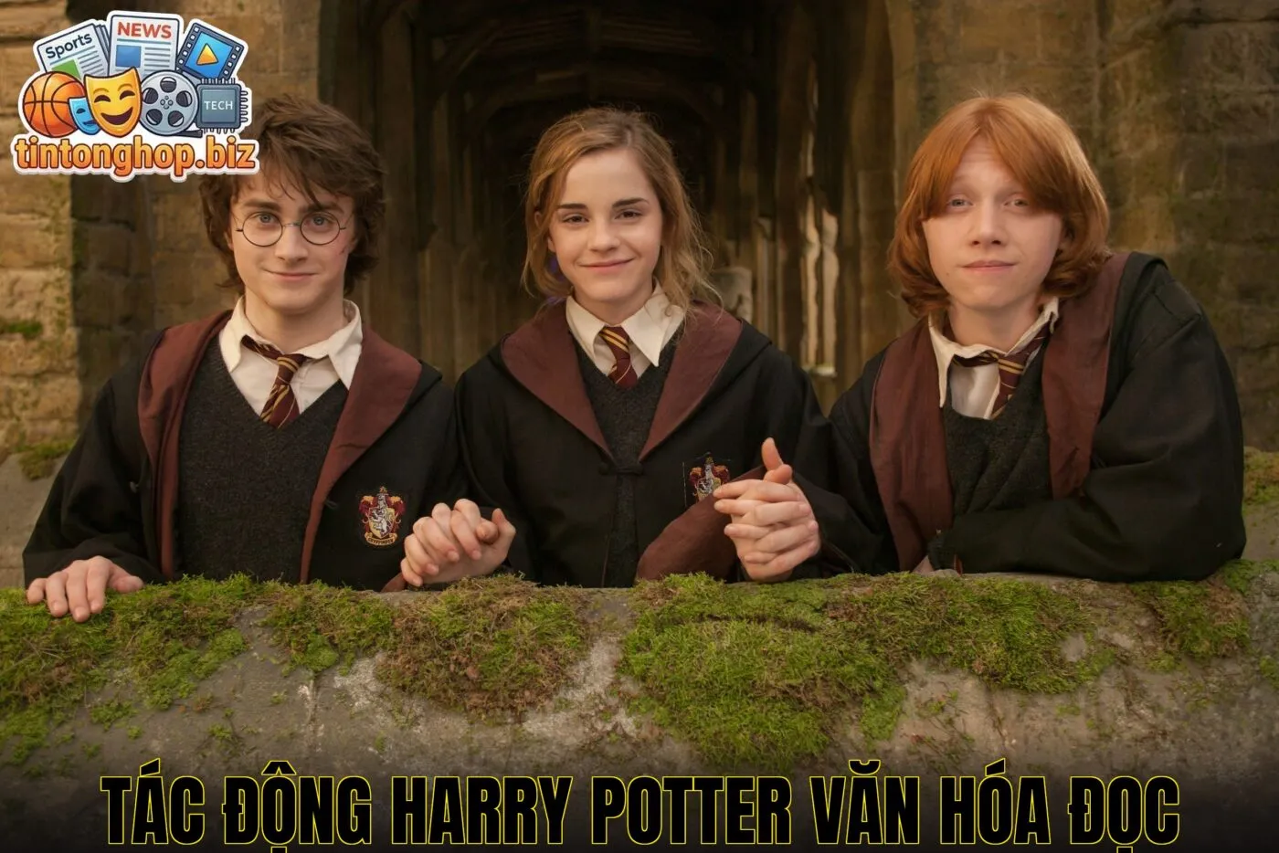 Tác động Harry Potter văn hóa đọc