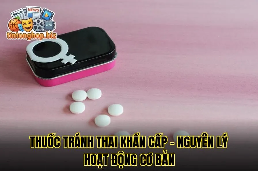 Thuốc Tránh Thai Khẩn Cấp – Nguyên Lý Hoạt Động Cơ Bản