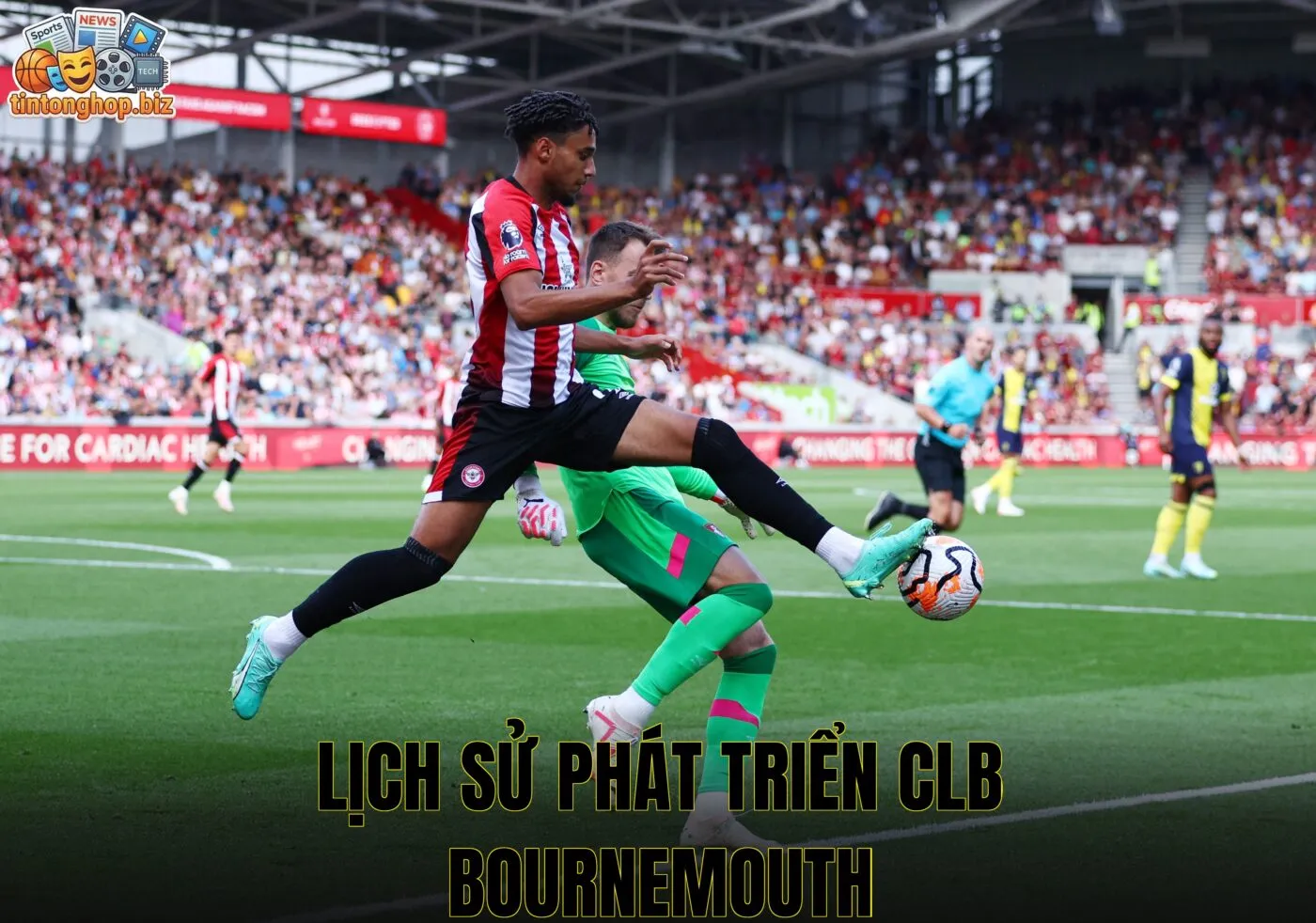 Lịch sử phát triển CLB Bournemouth