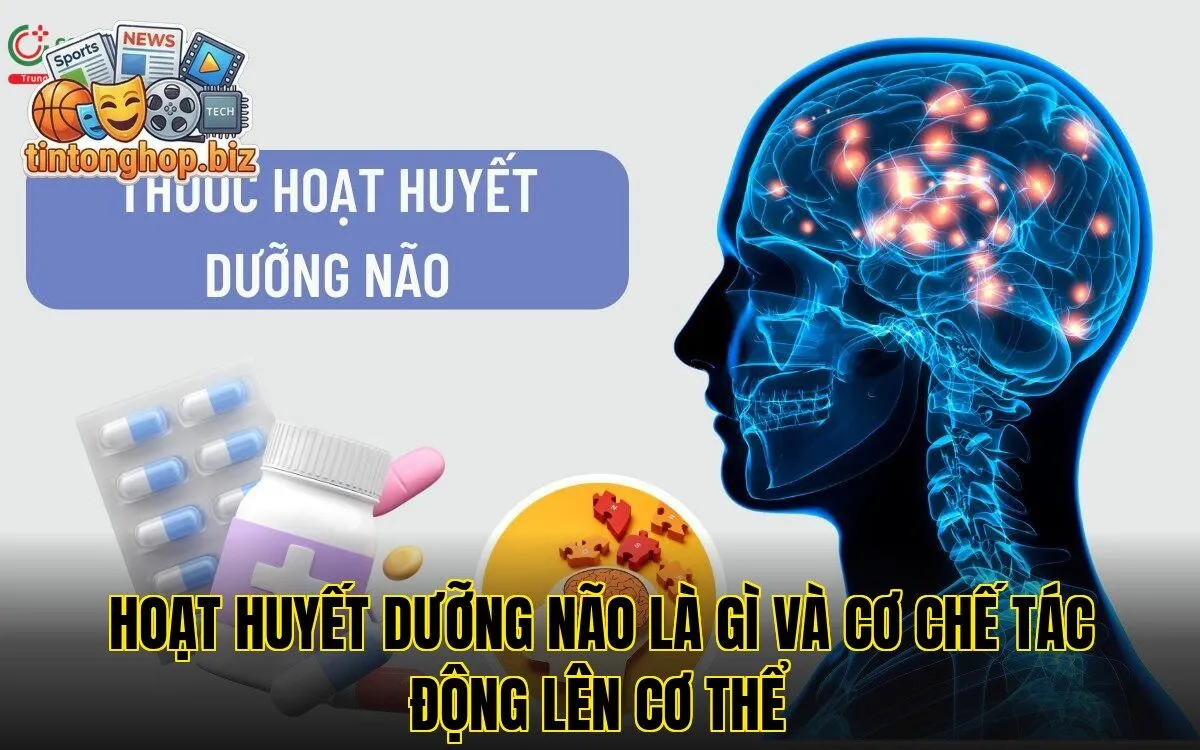 Hoạt huyết dưỡng não là gì và cơ chế tác động lên cơ thể