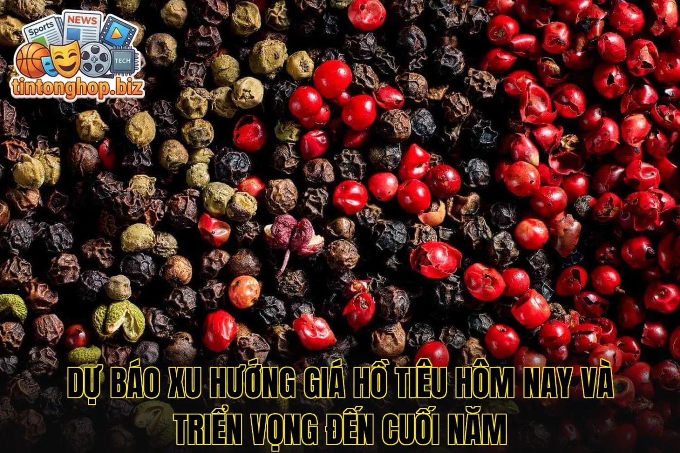 Dự báo xu hướng giá hồ tiêu hôm nay và triển vọng đến cuối năm