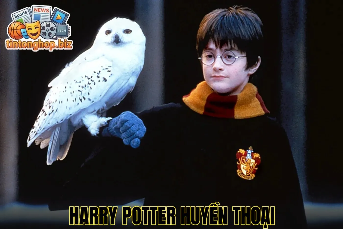 Harry Potter Huyền Thoại